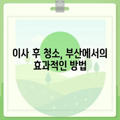 부산 이사 청소업체 소개, 최선의 서비스 제공