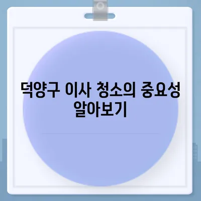 덕양구 이사 청소 전 탄성코트 줄눈 시공 보고서