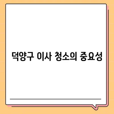 덕양구 이사 청소 후 탄성코트 줄눈시공 결과 확인