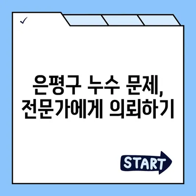 빌라 누수 책임 해결하기 | 은평구 누수 탐지부터 집 매도 후 누수 원인까지