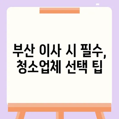 부산 이사 청소업체 소개, 최선의 서비스 제공