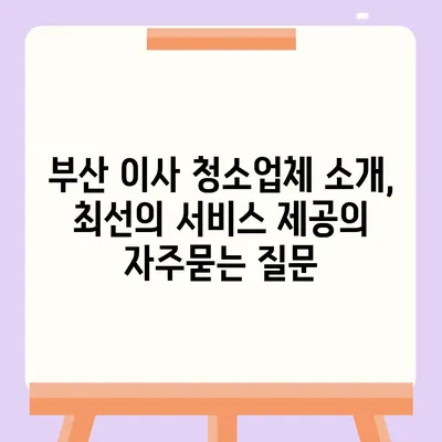 부산 이사 청소업체 소개, 최선의 서비스 제공