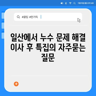 일산에서 누수 문제 해결 이사 후 특집