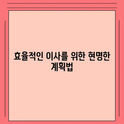 평택 포장 이사의 신중한 결정