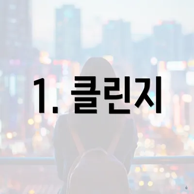 1. 클린지