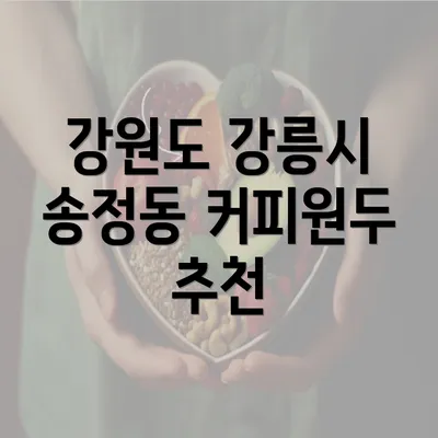 강원도 강릉시 송정동 커피원두 추천