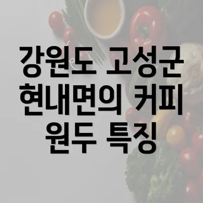 강원도 고성군 현내면의 커피 원두 특징