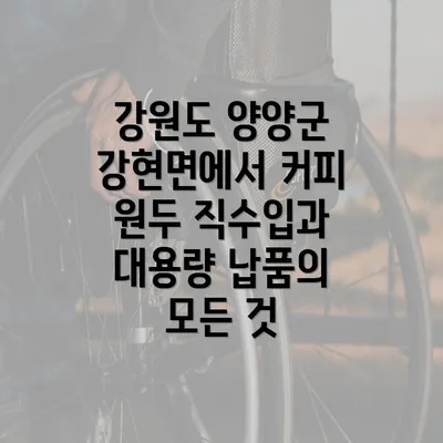 강원도 양양군 강현면에서 커피 원두 직수입과 대용량 납품의 모든 것