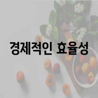 경제적인 효율성