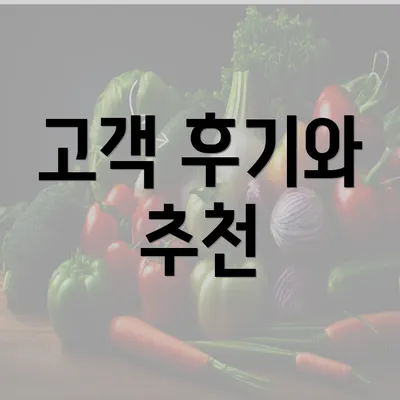 고객 후기와 추천