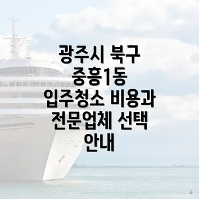 광주시 북구 중흥1동 입주청소 비용과 전문업체 선택 안내