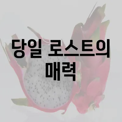 당일 로스트의 매력