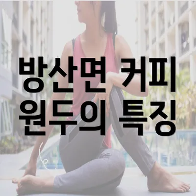 방산면 커피 원두의 특징