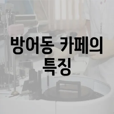 방어동 카페의 특징