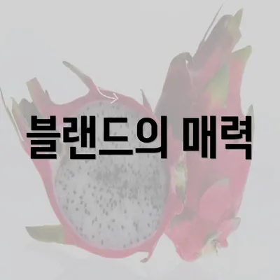 블랜드의 매력