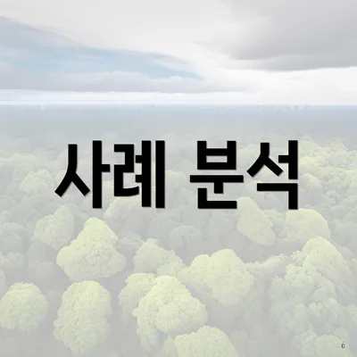 사례 분석