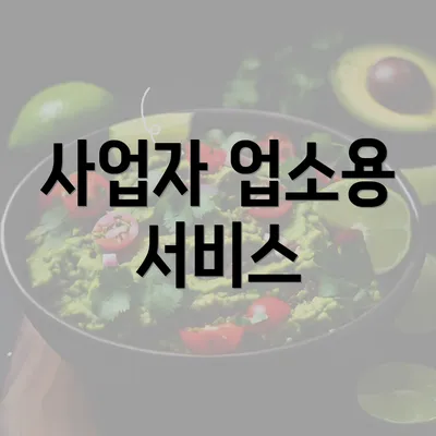 사업자 업소용 서비스