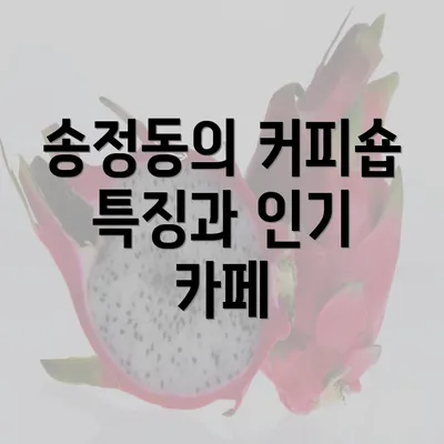 송정동의 커피숍 특징과 인기 카페