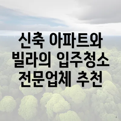 신축 아파트와 빌라의 입주청소 전문업체 추천