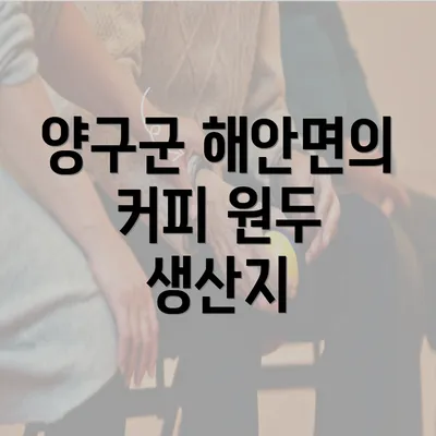 양구군 해안면의 커피 원두 생산지