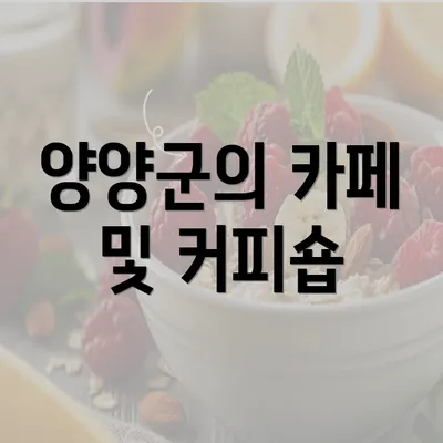 양양군의 카페 및 커피숍