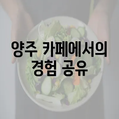 양주 카페에서의 경험 공유