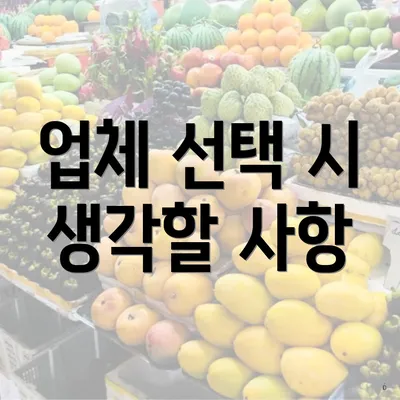 업체 선택 시 생각할 사항