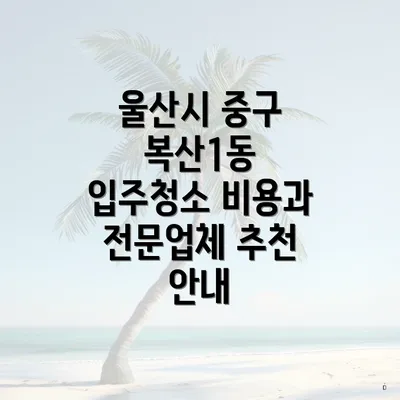 울산시 중구 복산1동 입주청소 비용과 전문업체 추천 안내