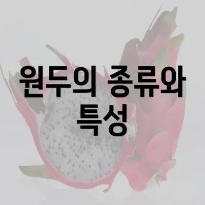 원두의 종류와 특성