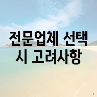 전문업체 선택 시 고려사항