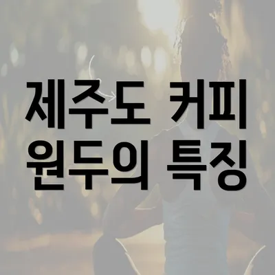 제주도 커피 원두의 특징