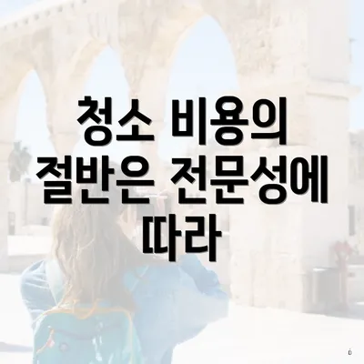 청소 비용의 절반은 전문성에 따라