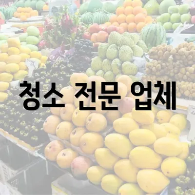 청소 전문 업체