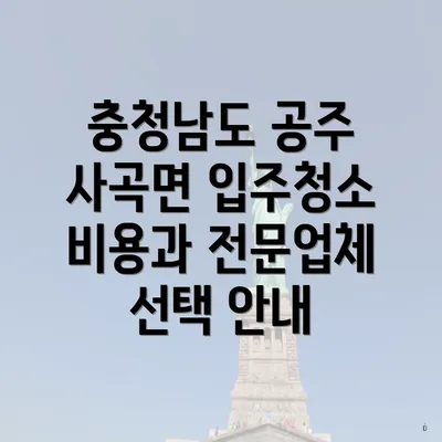 충청남도 공주 사곡면 입주청소 비용과 전문업체 선택 안내