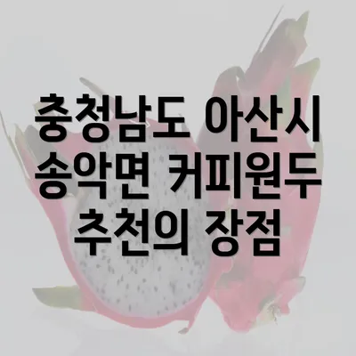 충청남도 아산시 송악면 커피원두 추천의 장점