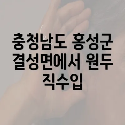 충청남도 홍성군 결성면에서 원두 직수입