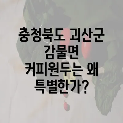 충청북도 괴산군 감물면 커피원두는 왜 특별한가?