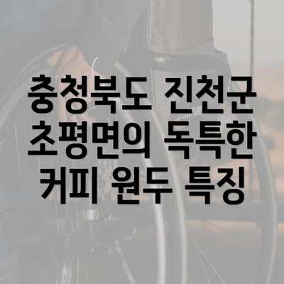 충청북도 진천군 초평면의 독특한 커피 원두 특징