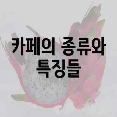 카페의 종류와 특징들