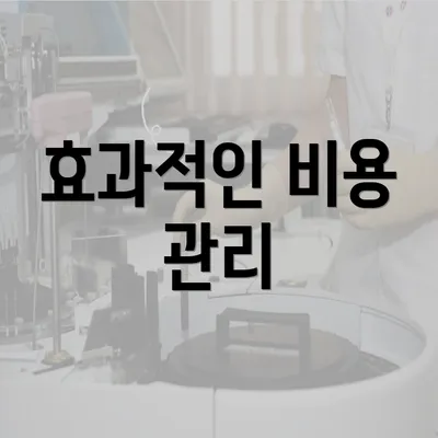 효과적인 비용 관리