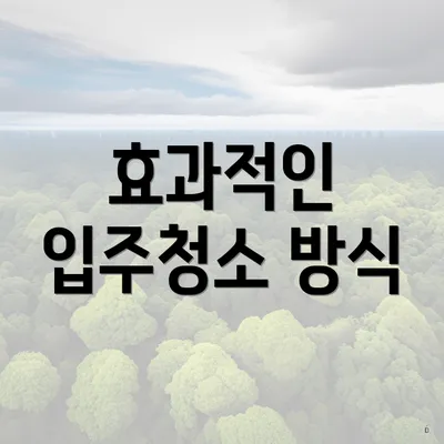 효과적인 입주청소 방식