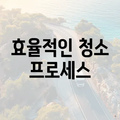 효율적인 청소 프로세스