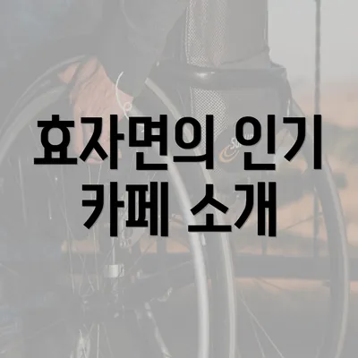 효자면의 인기 카페 소개