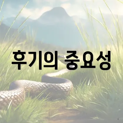 후기의 중요성