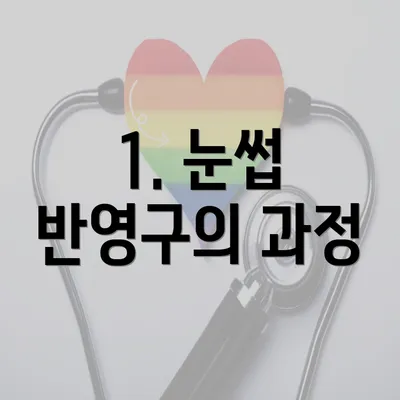 1. 눈썹 반영구의 과정