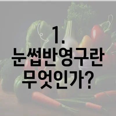 1. 눈썹반영구란 무엇인가?