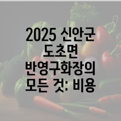 2025 신안군 도초면 반영구화장의 모든 것: 비용