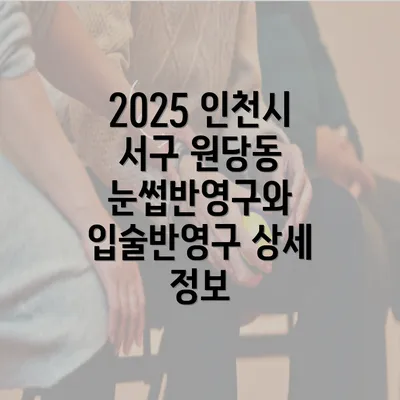 2025 인천시 서구 원당동 눈썹반영구와 입술반영구 상세 정보