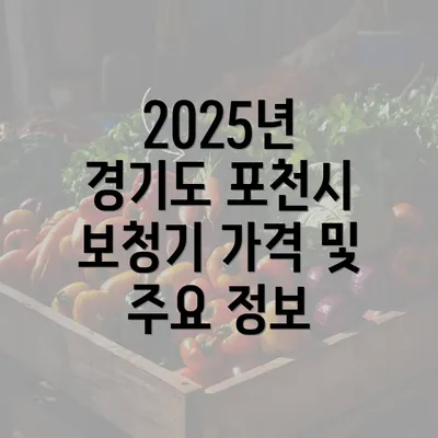 2025년 경기도 포천시 보청기 가격 및 주요 정보