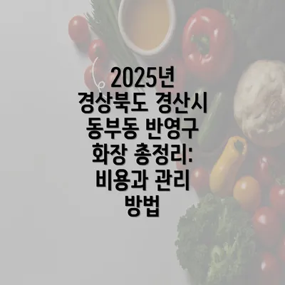 2025년 경상북도 경산시 동부동 반영구 화장 총정리: 비용과 관리 방법